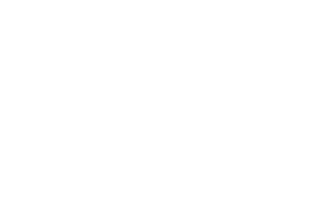 Yellow Dog Brewing Co.